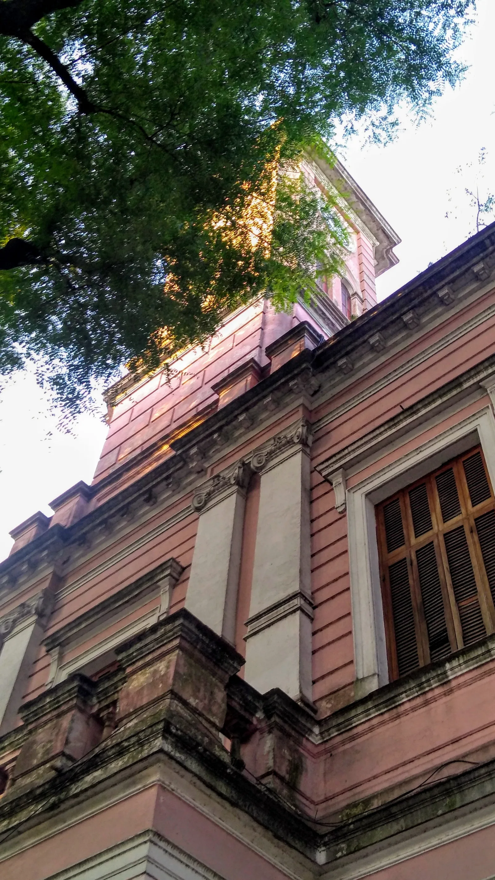 Corrales de hacienda en el Mercado de Liniers, origen ganadero que dio nombre al apodo Torito
